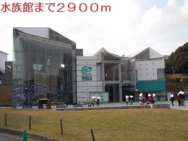 海きららまで2900m
