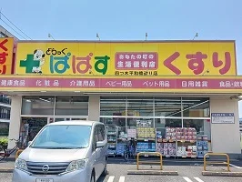 どらっぐぱぱすまで330m