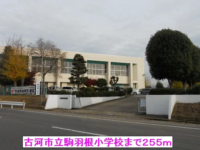 古河市立駒羽根小学校まで255m