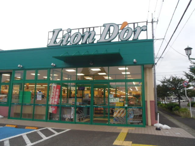 リオンドール南中央店まで400m