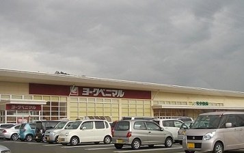 ヨークベニマル野田店まで450m