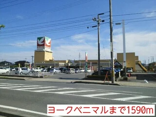 ヨークベニマルまで1590m