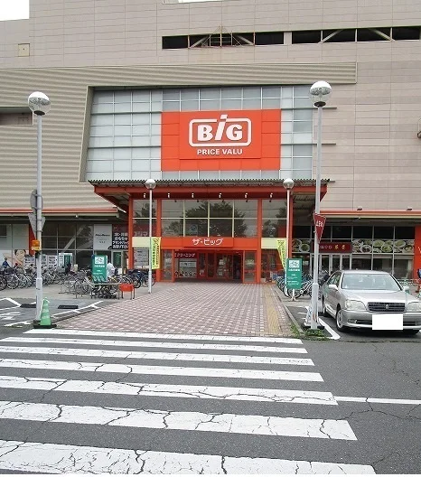 ザ・ビッグ昭島店まで1100m