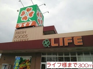 ライフ様まで300m