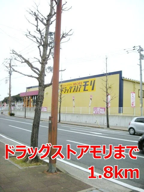 ドラッグストアモリまで1800m