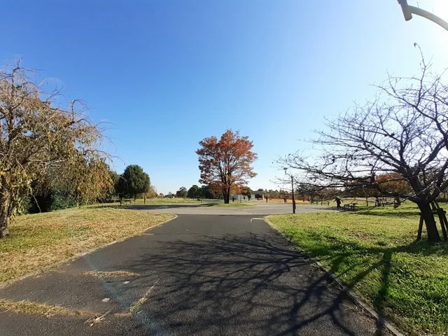 舎人公園まで750m