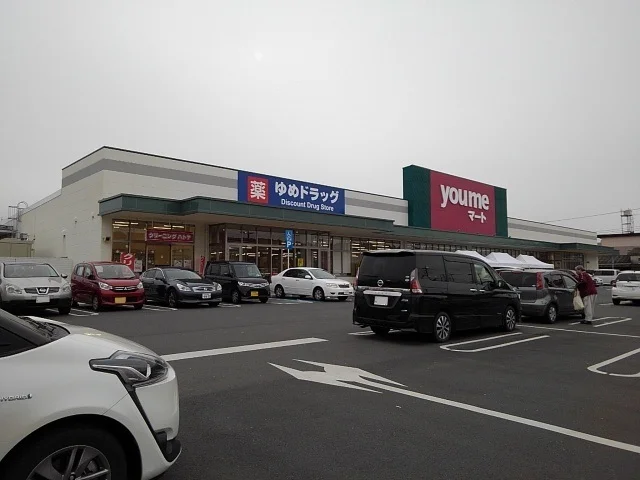ゆめマート日田まで1250m