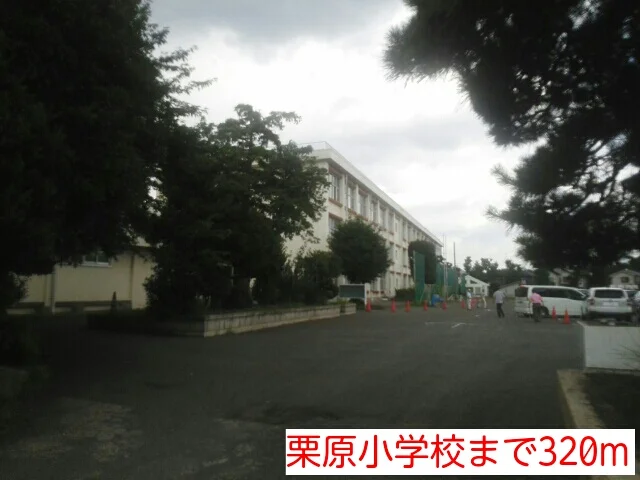 栗原小学校まで320m