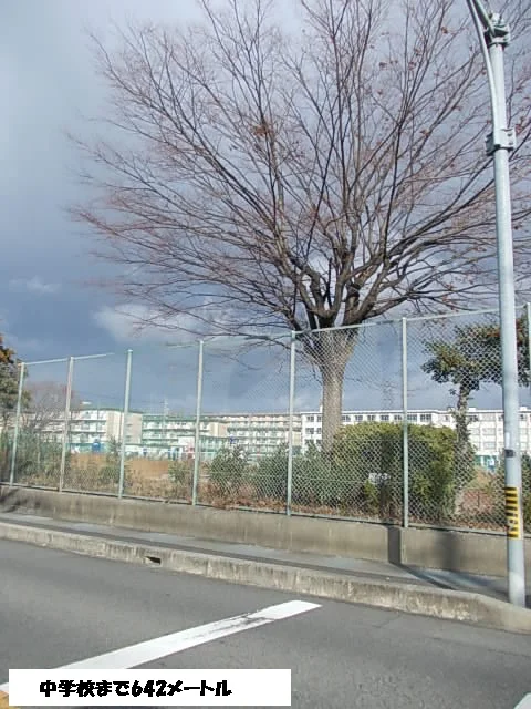 中学校まで642m