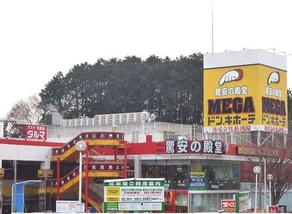 MEGAドン・キホーテ台原店まで1100m