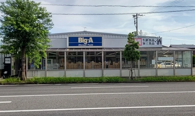 ビック・エー木下店まで1100m