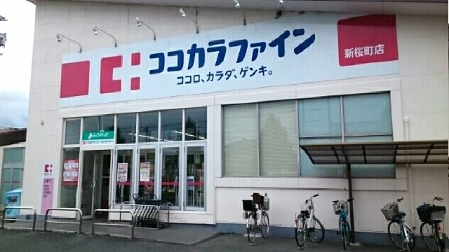 ココカラファインまで500m