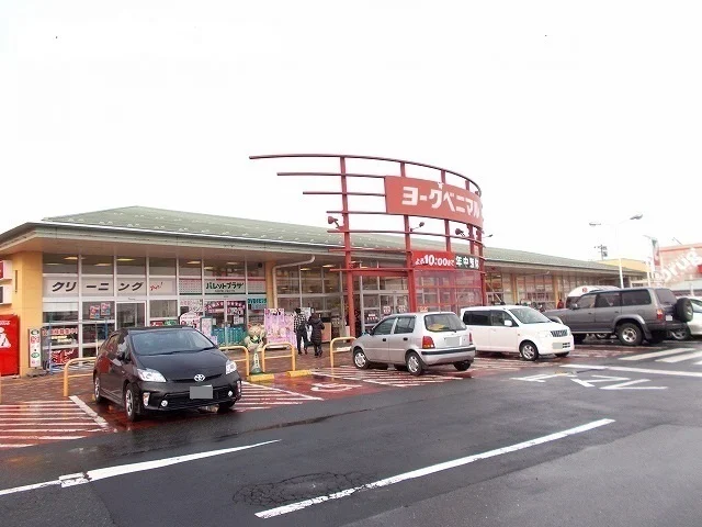 ヨークベニマル古川南店まで1100m