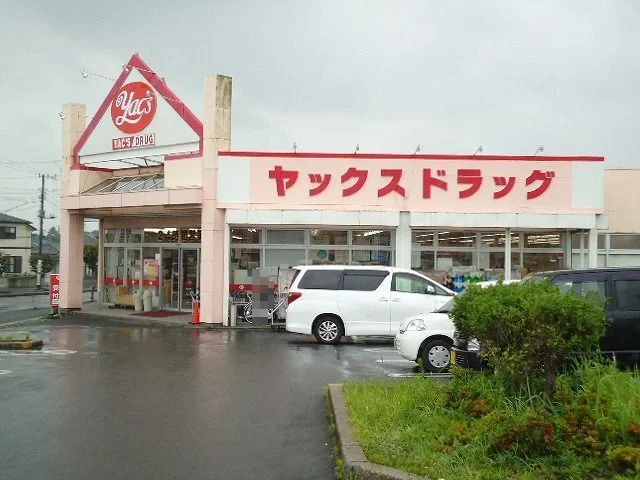 ヤックスドラッグ袖ヶ浦店まで1500m