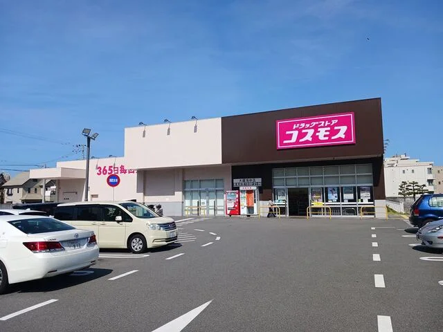 コスモス大蔵海岸店まで700m