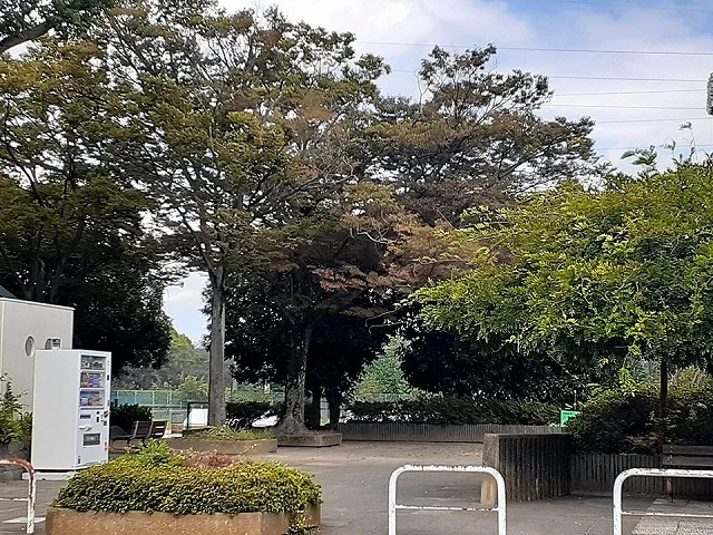 青葉公園まで800m