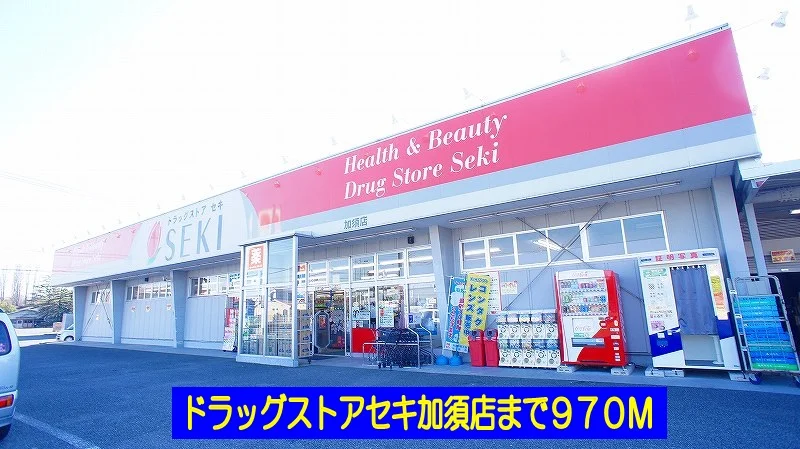ドラッグストアセキ加須店まで970m