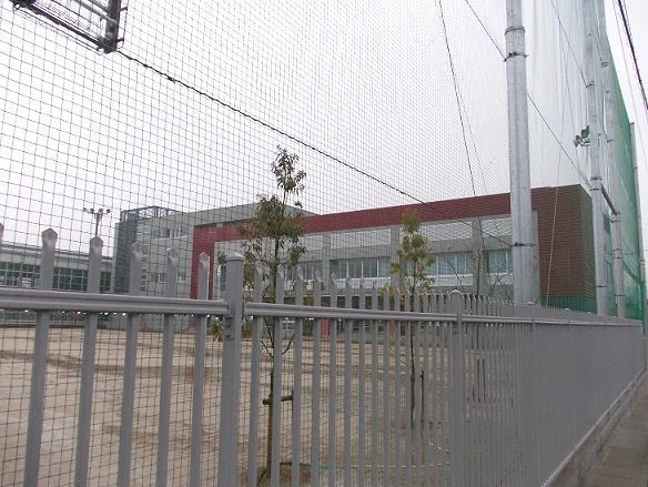 国府小学校まで800m
