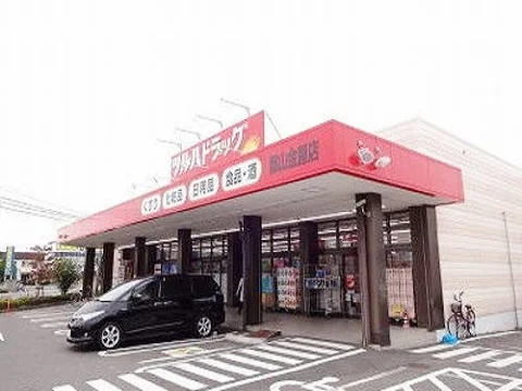 ツルハドラッグ郡山金屋店まで1100m