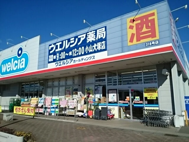 ウエルシア小山犬塚店まで350m