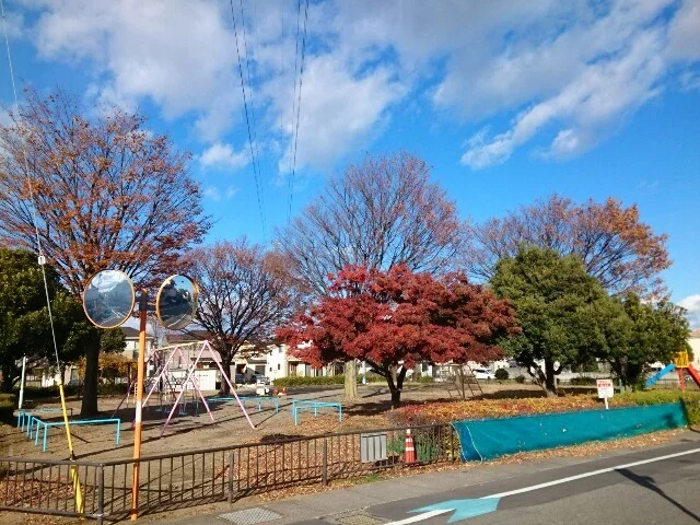 井ノ貝戸公園まで250m