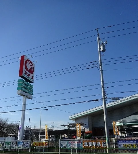 コメリまで1100m