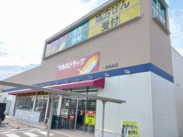 ツルハドラッグ一宮森本店まで313m