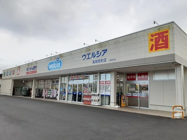 ウエルシア真岡荒町店まで1100m