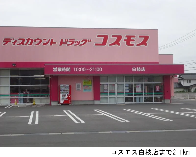 コスモス白枝店まで2100m