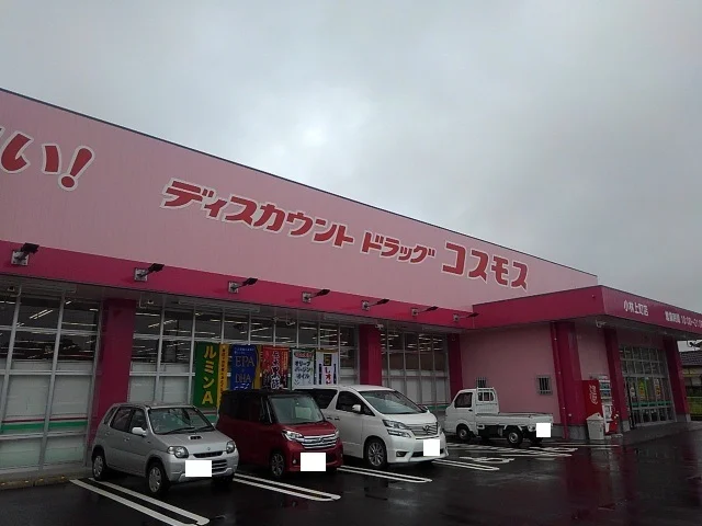 コスモス小林上町店まで800m