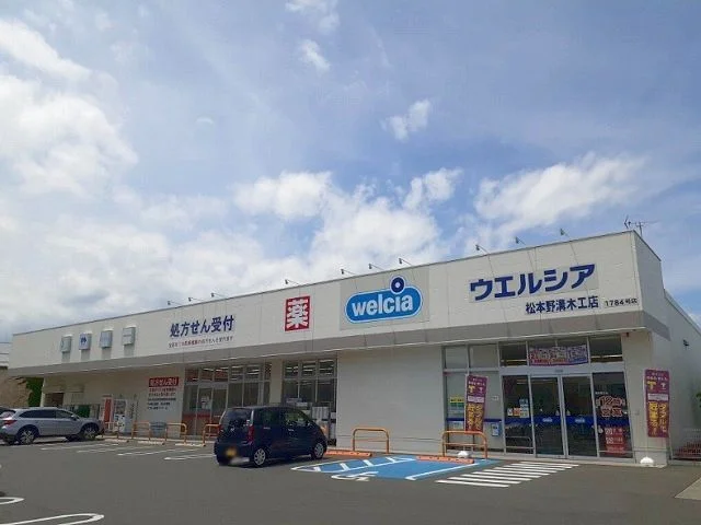 ウエルシア　野溝木工店まで600m
