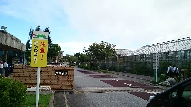 琉球大学まで310m