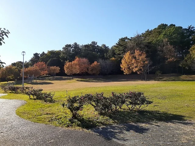 四ツ池公園まで600m