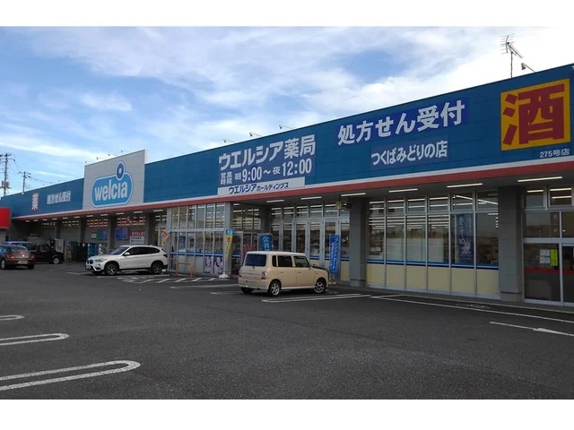 ウェルシアみどりの店まで1100m