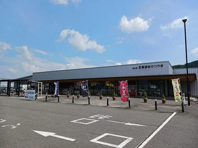 道の駅　恐竜渓谷かつやままで772m