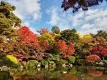 もみじ公園まで450m
