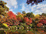 もみじ公園まで450m