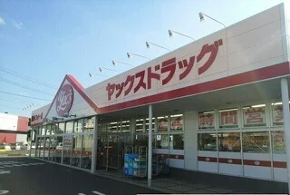 ヤックスドラッグ富里インター店まで600m