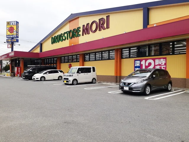 ドラッグストアモリ堤店まで350m