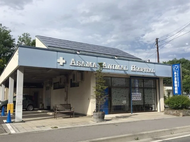 あさま動物病院まで1300m