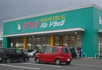 ハシドラッグ南福島店まで700m