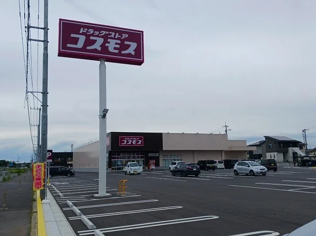 ドラッグストアコスモス高山店まで650m