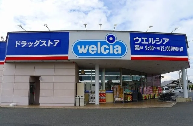 ウエルシア伊勢崎八寸店まで1100m