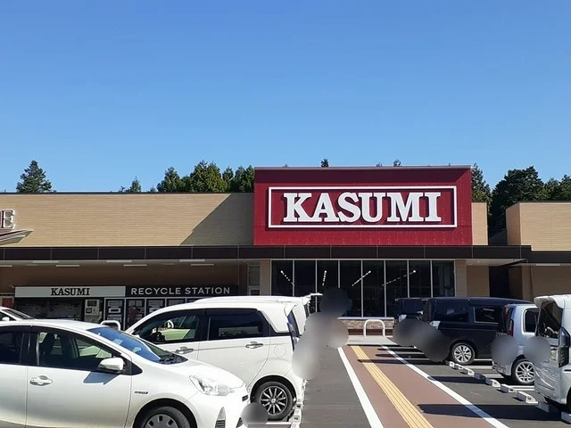 カスミ古河諸川店まで1300m