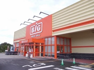 ザ・ビッグ上板店様まで1100m