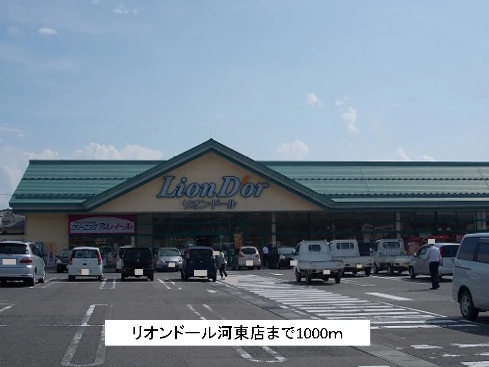 リオンドール河東店まで1000m