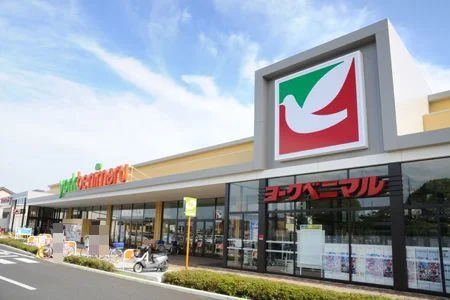 ヨークベニマル水戸浜田店まで850m