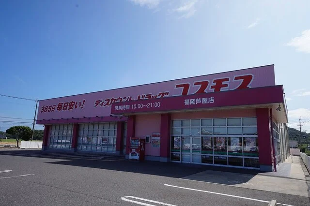 コスモスまで240m