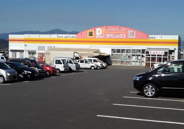 ダイレックス愛野店まで1300m