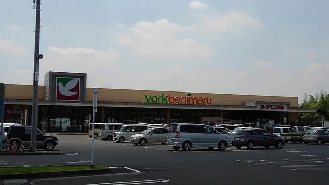 ヨークベニマル友部東平店まで1000m